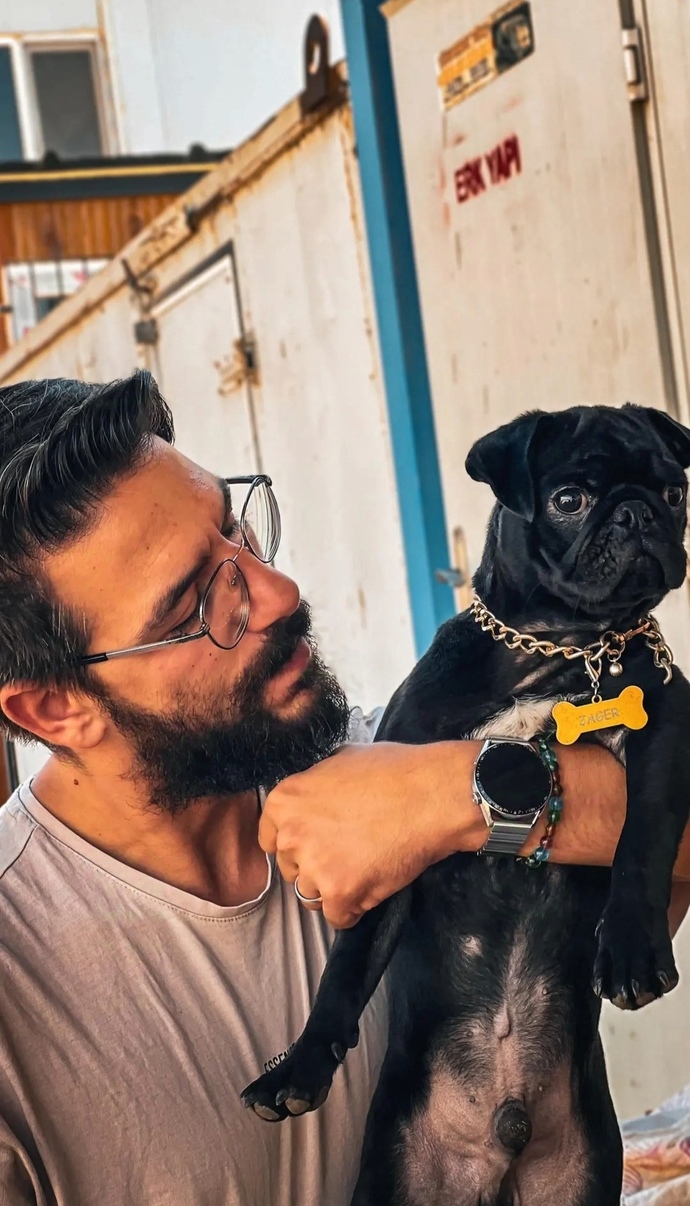 Kedileri mi daha çok seviyorsunuz yoksa köpekleri mi?