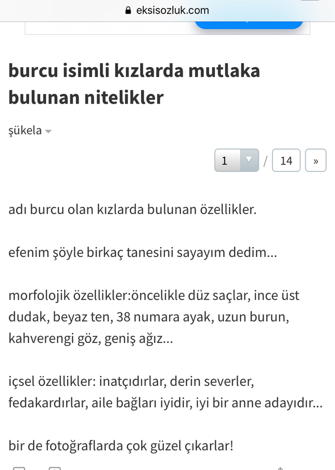 “Burcu isimli kızlarda mutlaka bulunan özellikler” diye bir Ekşi Sözlük başlığı gördüm. Sormak istedim kdjd Sizce neler var?