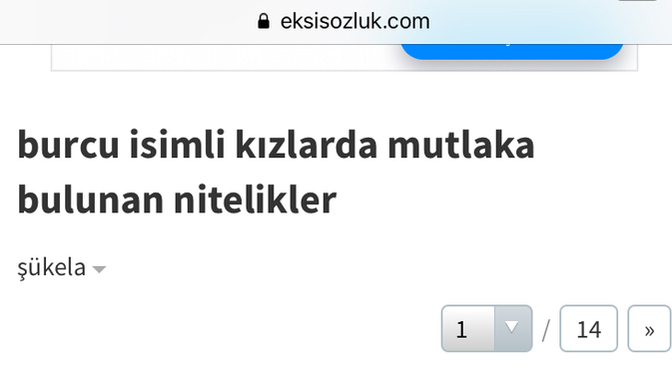 “Burcu isimli kızlarda mutlaka bulunan özellikler” diye bir Ekşi Sözlük başlığı gördüm. Sormak istedim kdjd Sizce neler var?