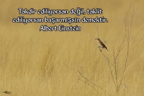 Herkes artık başkalarının hayatına mı özenti duymaya başladı?