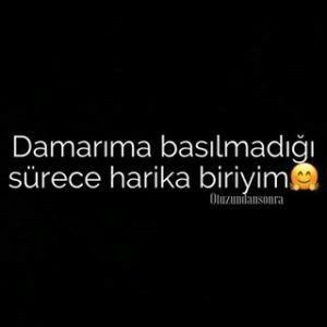 Birisi ailenizi üzerse veya incitirse ne yaparsınız? intikam almayı sever misin?
