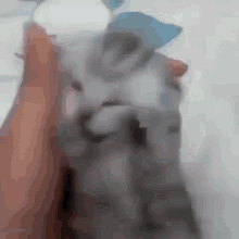 Şuanda sizi ne çok mutlu ederdi?