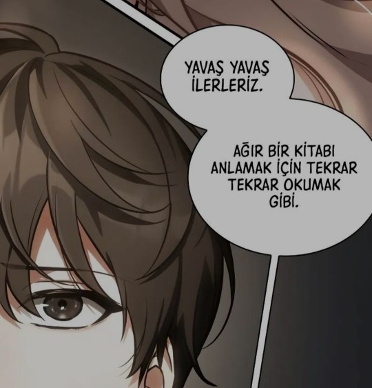 Tam kavrayamadığınız bir kitabı, noveli, sözü, kelimeyi daha sonra tekrar okur musunuz?