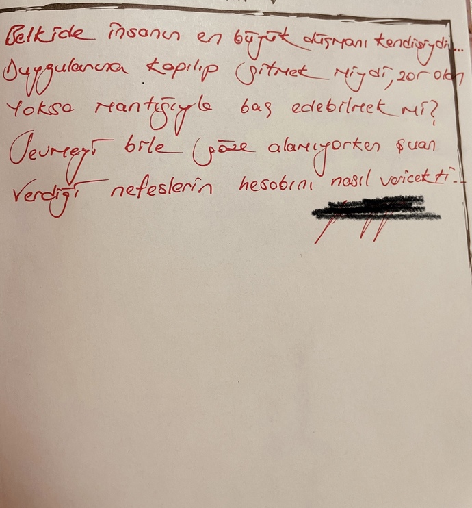 Şiir nası olmuş?