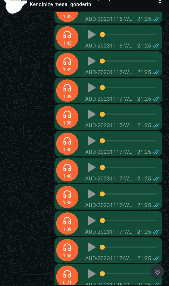 Arkadaşlar WhatsAppta kendime attığım ses kayıtları neden silinmiş olabilir lütfen yardım eder misiniz?