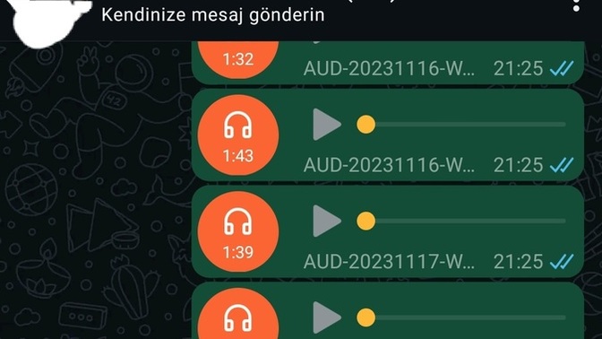 Arkadaşlar WhatsAppta kendime attığım ses kayıtları neden silinmiş olabilir lütfen yardım eder misiniz?
