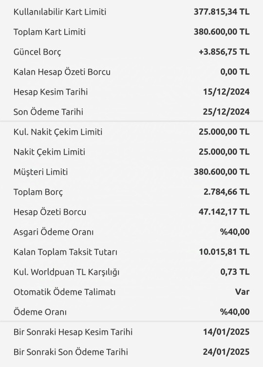 Benim borcum ne kadar, bir bakabilir misiniz?