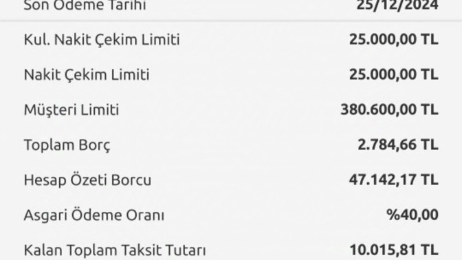 Benim borcum ne kadar, bir bakabilir misiniz?