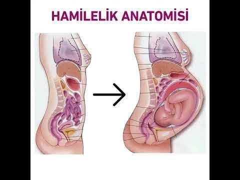 22 yaşındayım çocuk istemiyorum hep böyle mi gider?