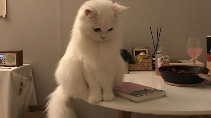 Bilerek kendini aç bırakmak depresyon belirtisi mi?