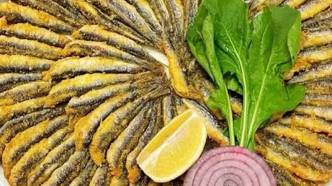 Hamsi sever misin?