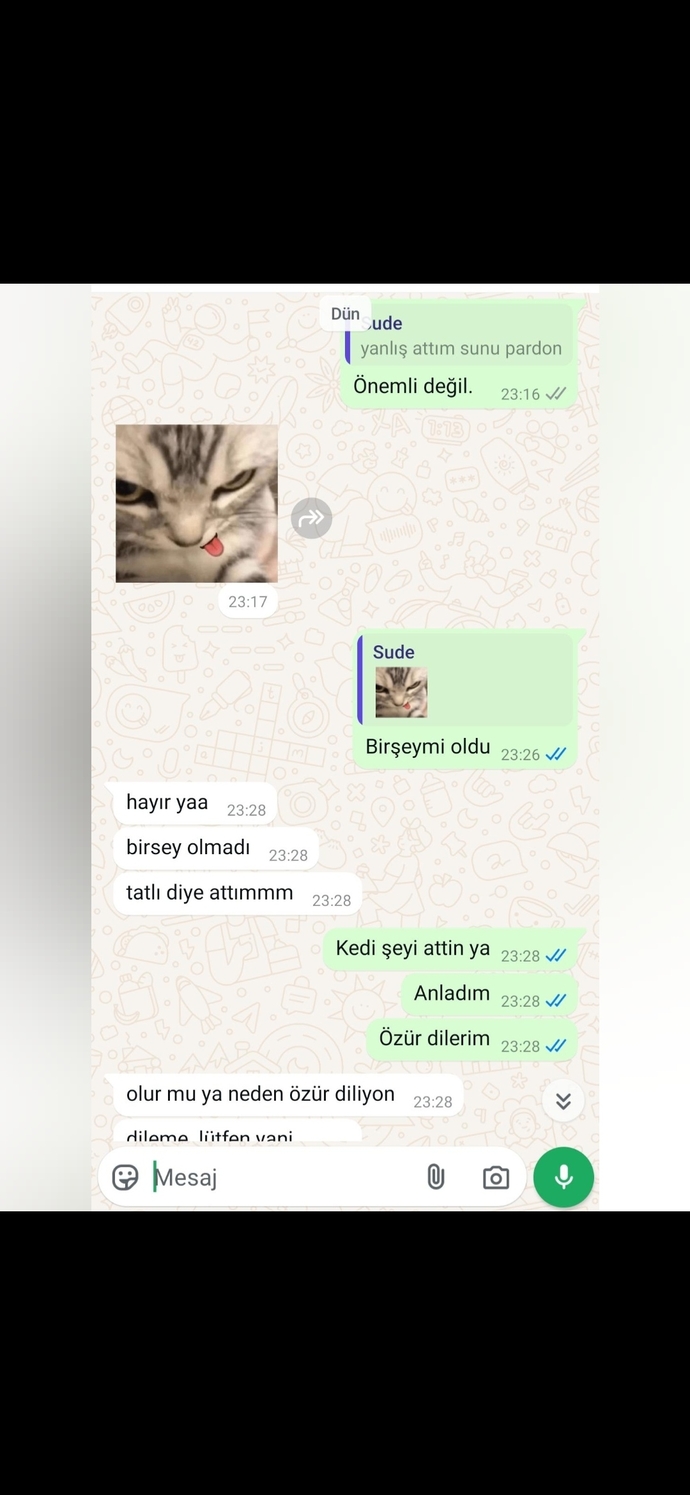 Konuştuğum kizla 3 defa arkasligimizi bitirdik şimdi yine yazmış ne yapiyim barisyimmi beni yedekte tutup kullanıyor galiba işine?