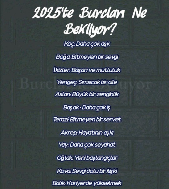 2025 te burcunuzu neler bekliyor?