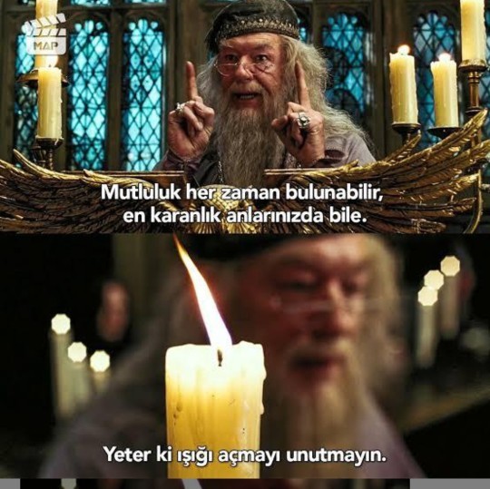 Dumbledorea katılıyor musunuz?