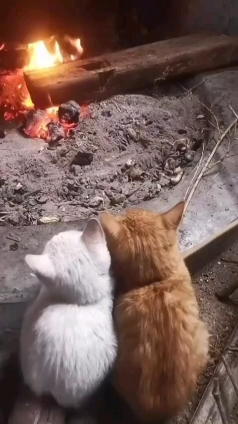 İçinizi ne ısıtır?