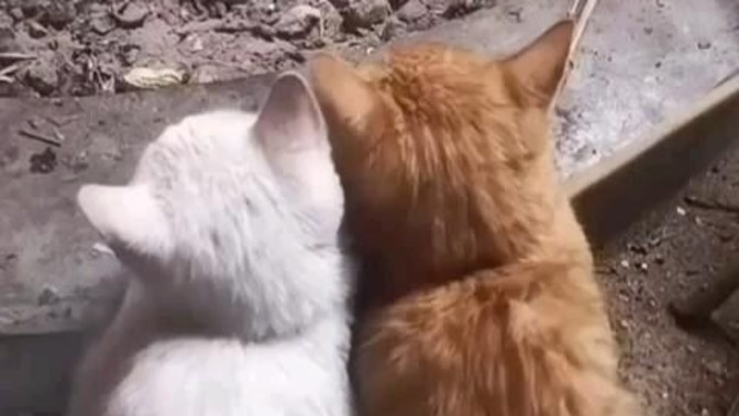 İçinizi ne ısıtır?