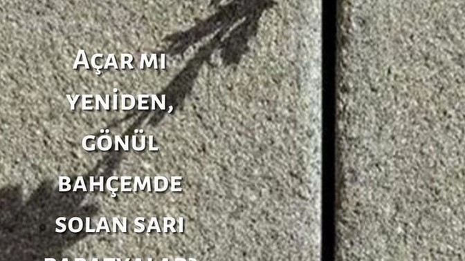 Papatya fali oyunu oynadınız mi?