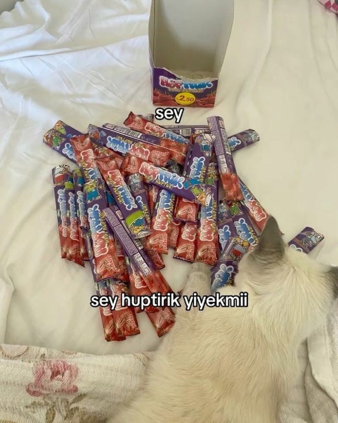 Şu an nasıl bir hediye alsanız mutlu olursunuz?