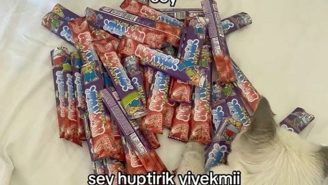 Şu an nasıl bir hediye alsanız mutlu olursunuz?
