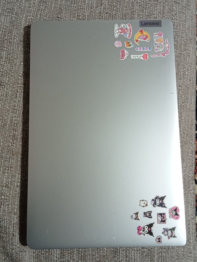 Laptopuma çıkartma yapıştırdım nasıl olmuş?
