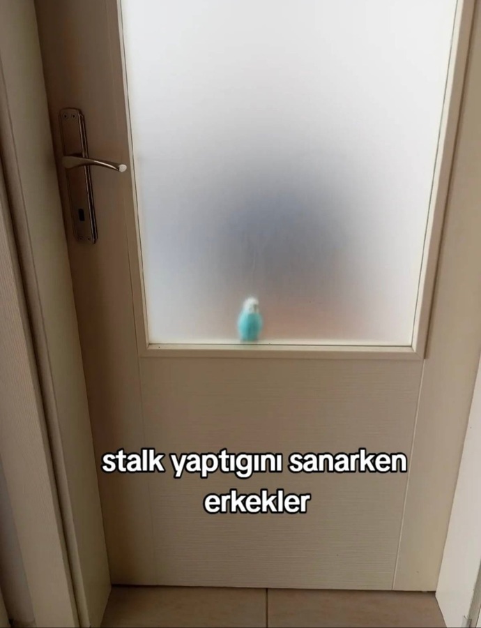 Stalk konusunda kadınlar mı, erkekler mi daha başarılıdır?
