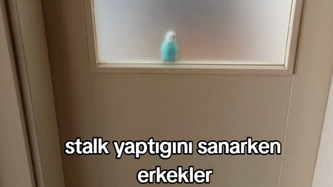 Stalk konusunda kadınlar mı, erkekler mi daha başarılıdır?