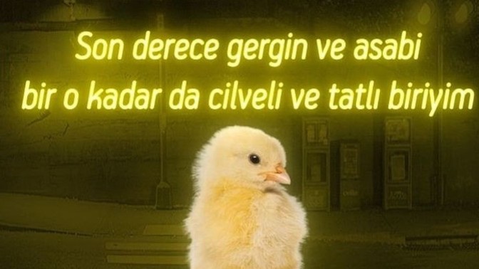 Siz nasıl birisiniz?