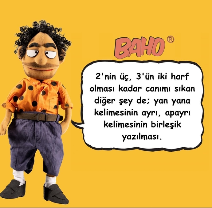 Sizin canınızı sıkan şeyler var mı?
