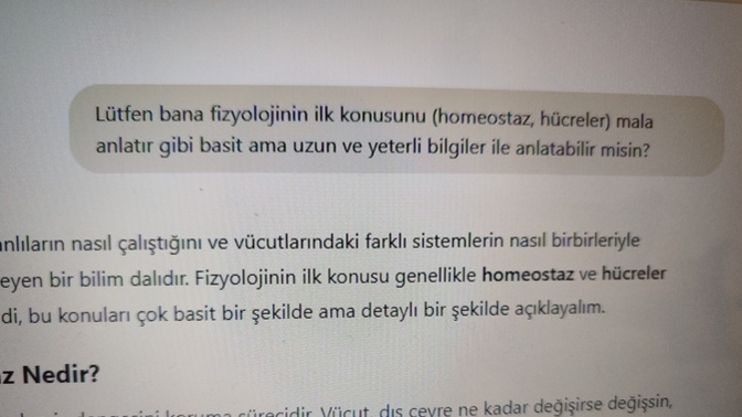 Chatgpt'yi dersleriniz ya da işleriniz için kullanıyor musunuz?