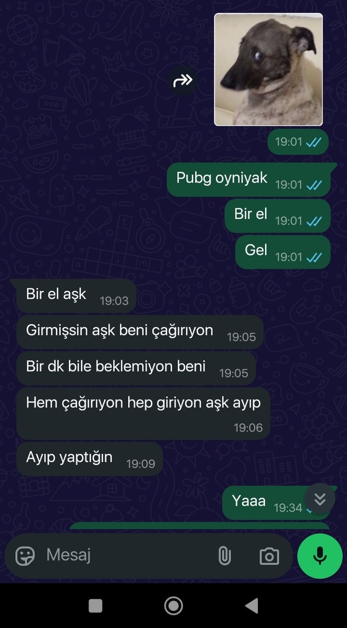 Sevgilimi beklemeden oyuna girdiğim için beni azarladı alınmış haklı mııı?