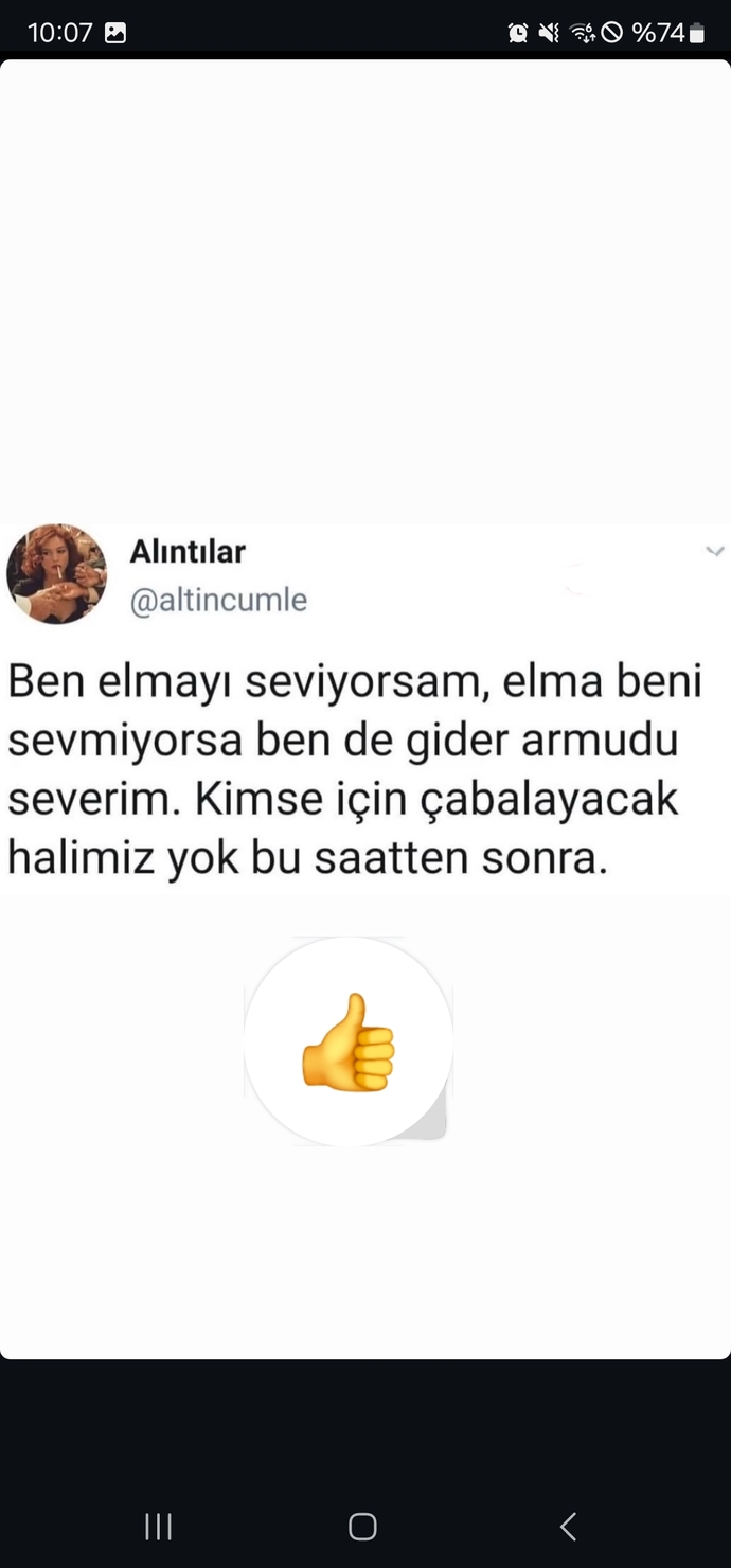 Başkasını sevebilir miyim?