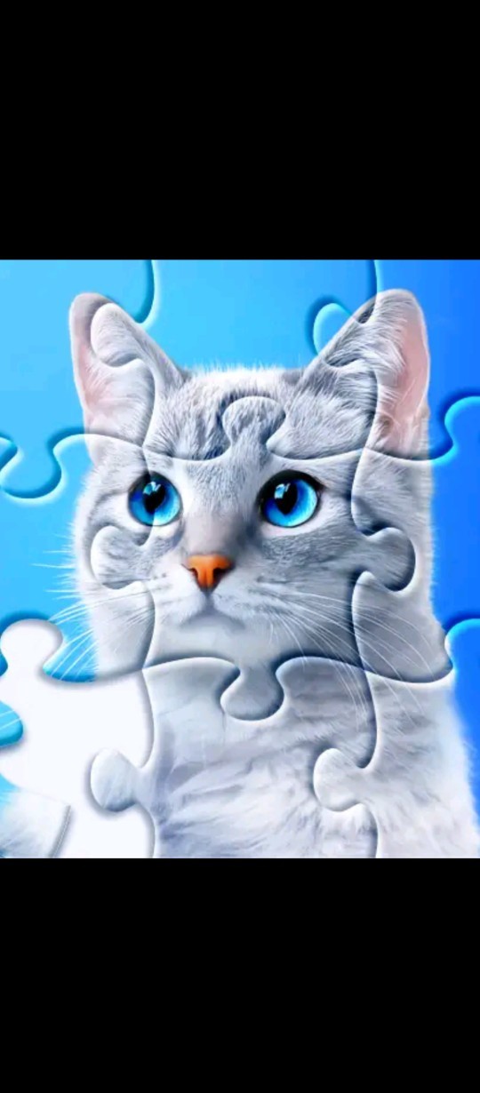 Kedi makyajı yapabilir misin?