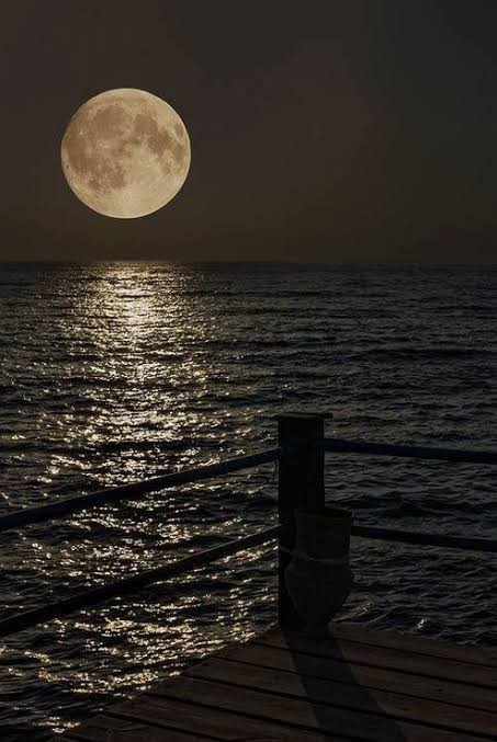 Gece denize girmekten korkar mısınız?