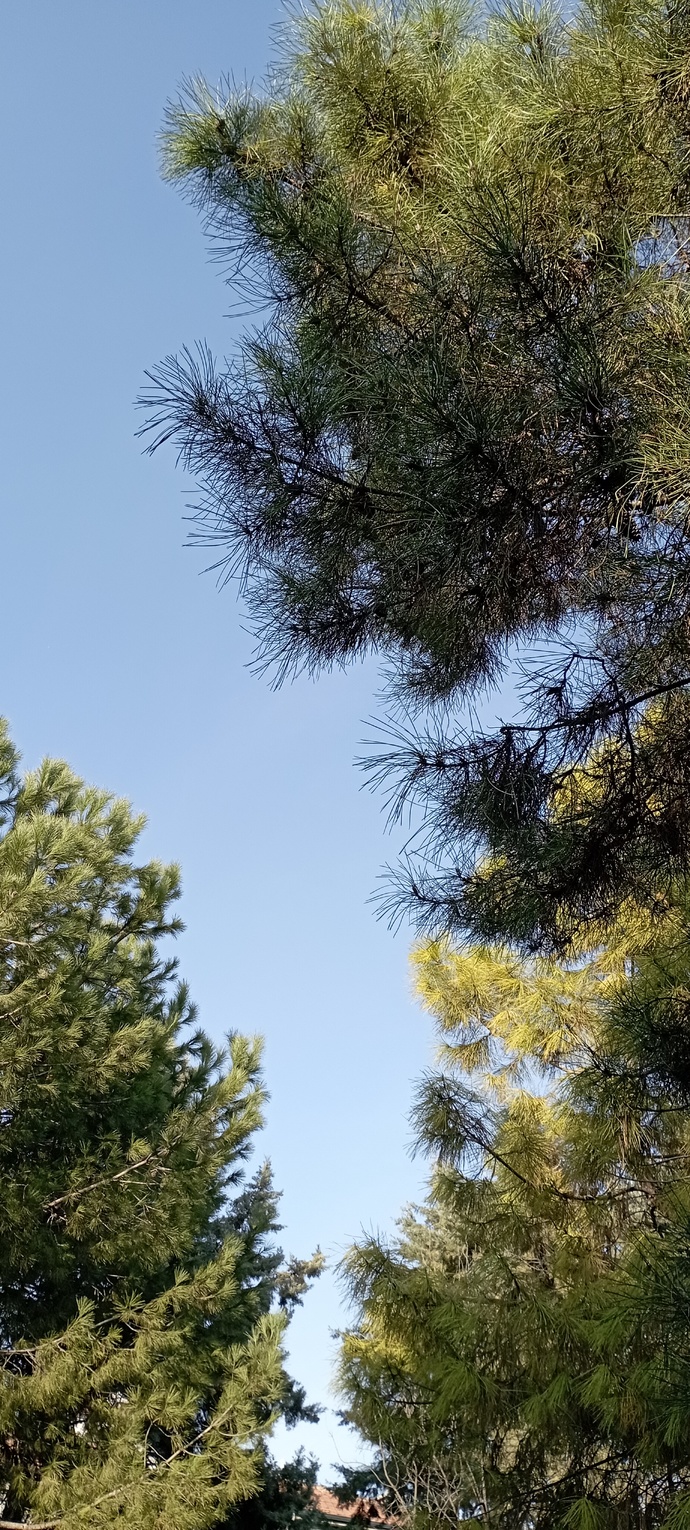 Yaz geri gelmiş olabilir mi?
