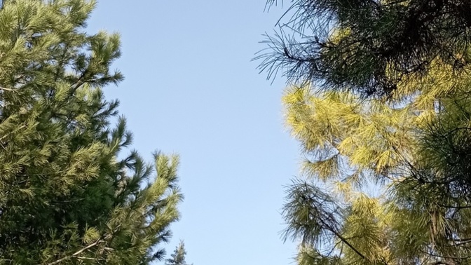 Yaz geri gelmiş olabilir mi?