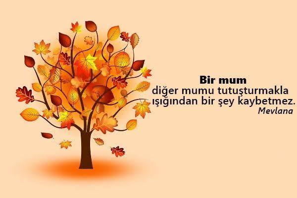 Herkese yardımcı olur musunuz?