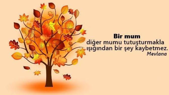 Herkese yardımcı olur musunuz?