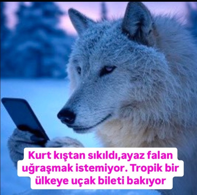 Şu an neye ihtiyaciniz var?