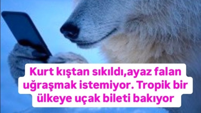 Şu an neye ihtiyaciniz var?