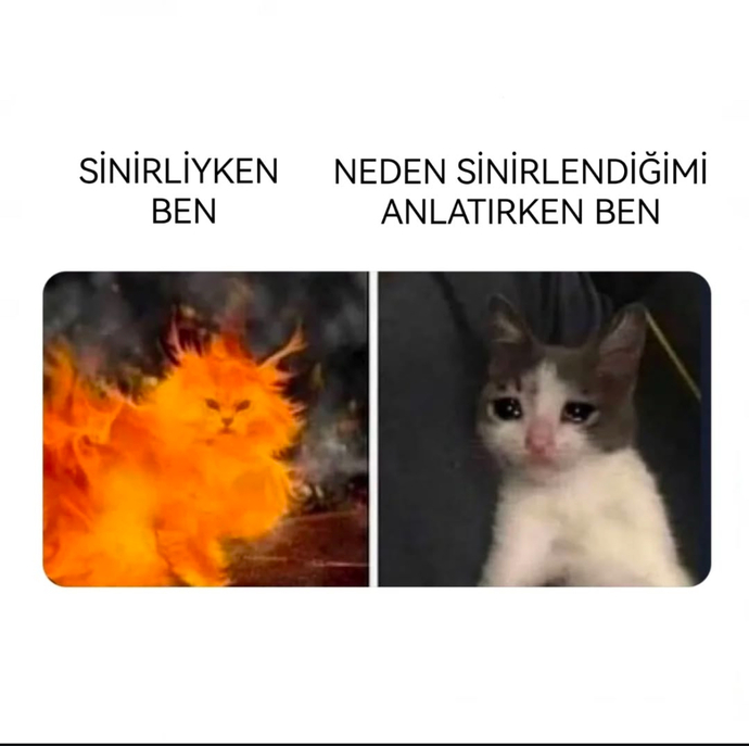 Sizce bu hangi burç olurdu 🤣?