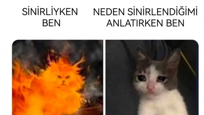 Sizce bu hangi burç olurdu 🤣?