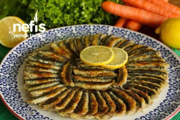 Hangi balığı daha çok seviyorsunuz?