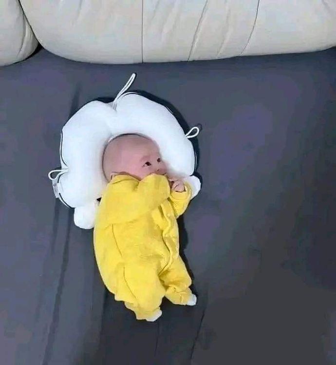 Sahanda yumurta seven var mı?