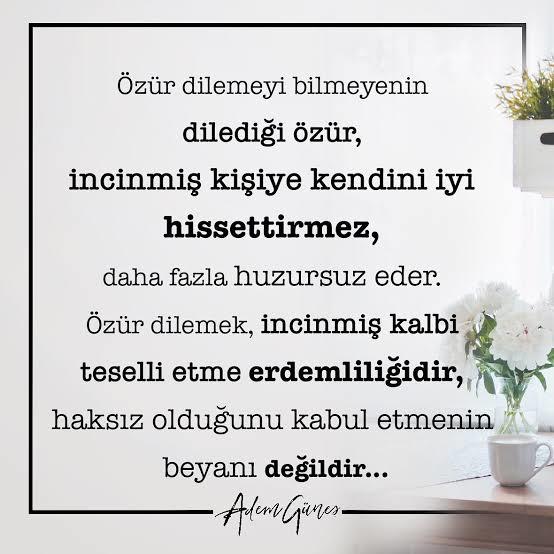 Özür dilemeyi becerebiliyor musunuz?