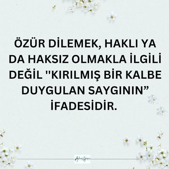 Özür dilemeyi becerebiliyor musunuz?