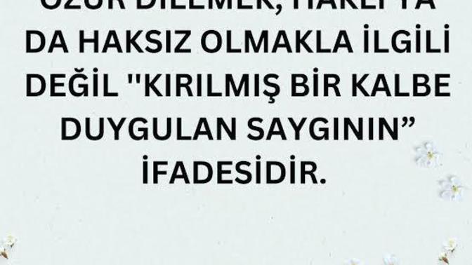 Özür dilemeyi becerebiliyor musunuz?