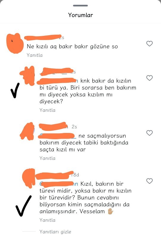 Bakır saçlı biri bakırım mı demeli, yoksa kızılım mı demeli?