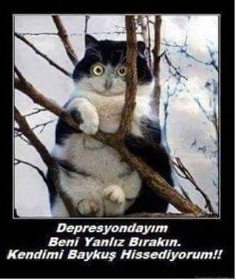 Dipte misin sonda misin?