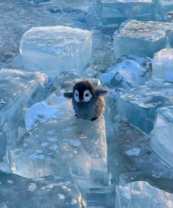 Sıcakkanlı oluşunuza kaç derece°C verirsiniz?