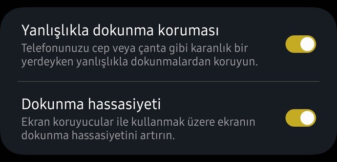 Ekran koruyucu kullanıyor musunuz?